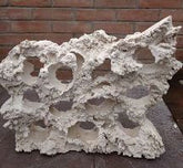 Decor ciclide africane-XXL